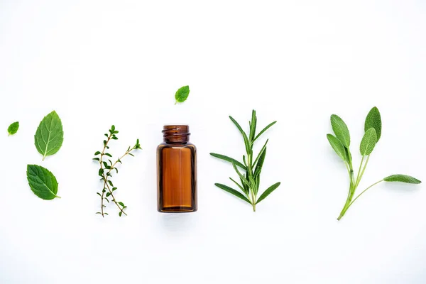 Bottle of essential oil with fresh herbal sage, rosemary, lemon — Stock Photo, Image