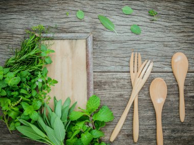 Aromatik otlar ve baharatlar rezene, kekik, adaçayı, limon kekik ve 