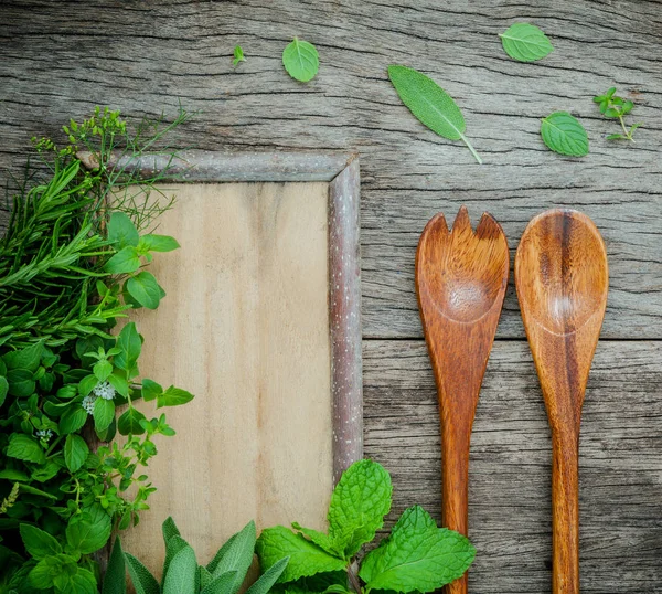 Aromatiska örter och kryddor gröna fänkål, salvia, oregano, mynta, lem — Stockfoto