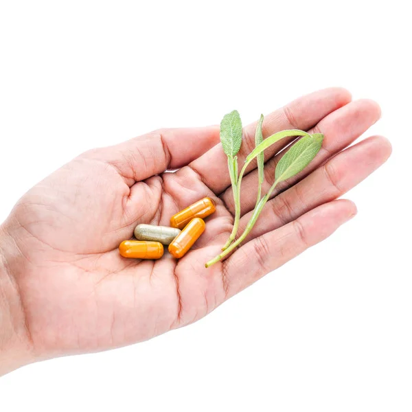 Alternatív egészségügyi és növényi gyógyszer. Close Up friss fre — Stock Fotó