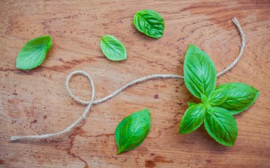 Taze fesleğen eski püskü teak ahşap arka plan üzerinde bırakır. Tatlı b