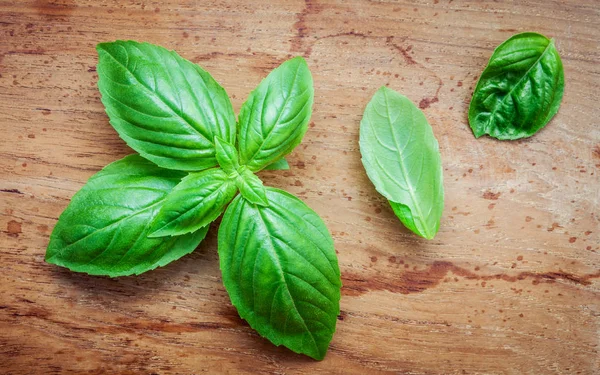 Fresh sweet basil leaves on shabby teak wood background. Sweet b