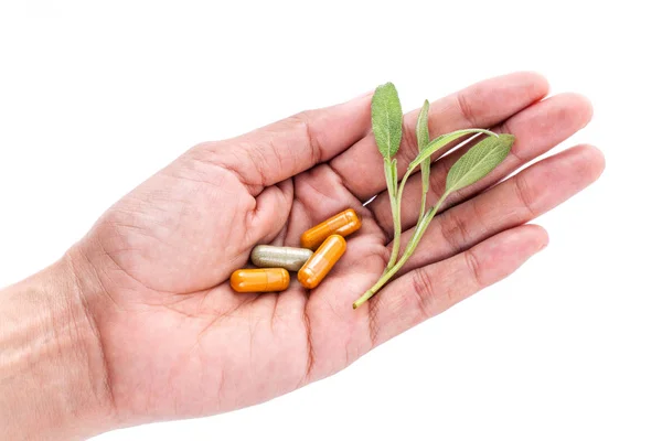 Atención médica alternativa y concepto de medicina herbal. Primer plano f — Foto de Stock