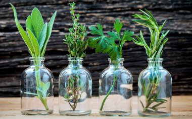 Önemli petrol otlar biberiye, adaçayı, maydanoz ve t ile şişe