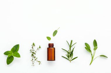 Taze bitki adaçayı, biberiye, limon uçucu yağ şişe