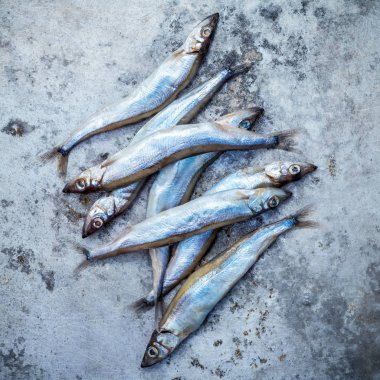 Taze catch Shishamo balık tam yumurta düz eski püskü metal ba üzerinde yatıyordu.