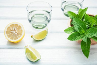 Mojito yapmak için malzemeler nane yaprakları, kireç, limon ve votka