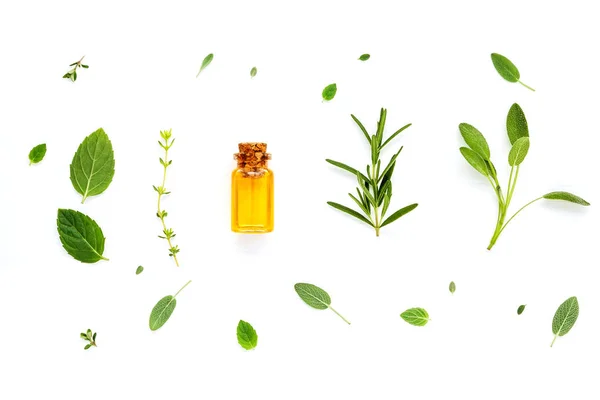 Bottle of essential oil with fresh herbal sage, rosemary, lemon — Stock Photo, Image