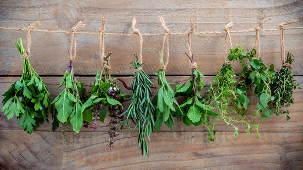 Assorted hanging herbs ,parsley ,oregano,mint,sage,rosemary,swee — Stock Photo, Image