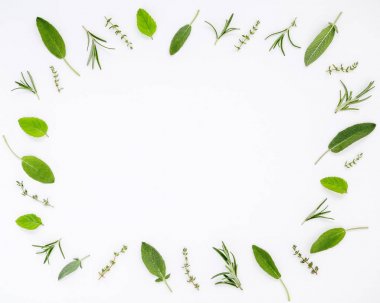 Bahçe biberiye, adaçayı, kekik ve pe çeşitli taze otlar