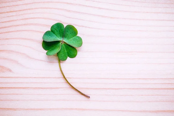 Hojas de trébol sobre fondo de madera en mal estado. El símbolo de Cuatro — Foto de Stock