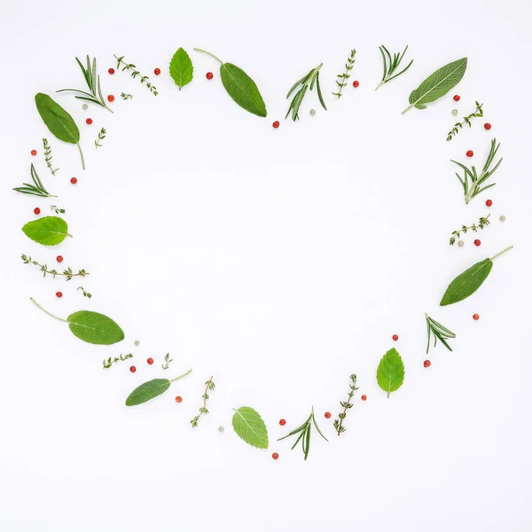 Heart shaped frame various fresh herbs rosemary, sage ,thyme and — Stock Photo, Image