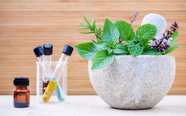 Alternatív egészségügyi és növényi gyógyszer. Friss fűszernövények és aro — Stock Fotó