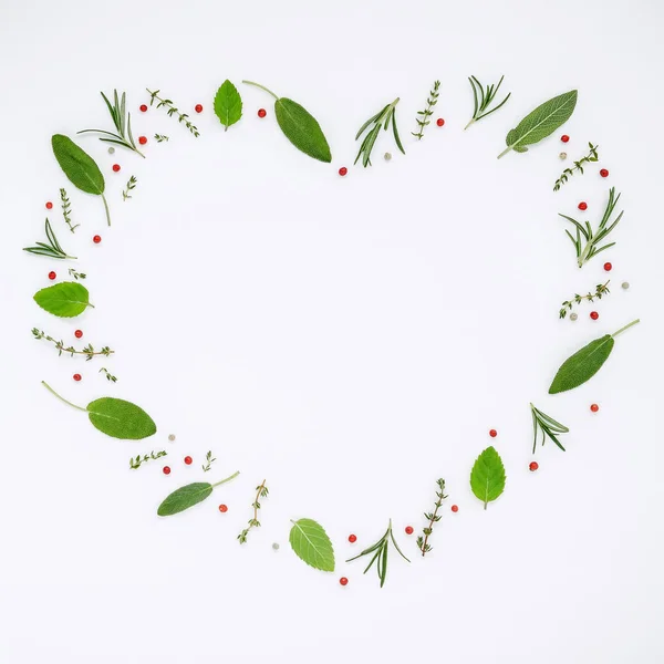 Heart shaped frame various fresh herbs rosemary, sage ,thyme and — Stock Photo, Image