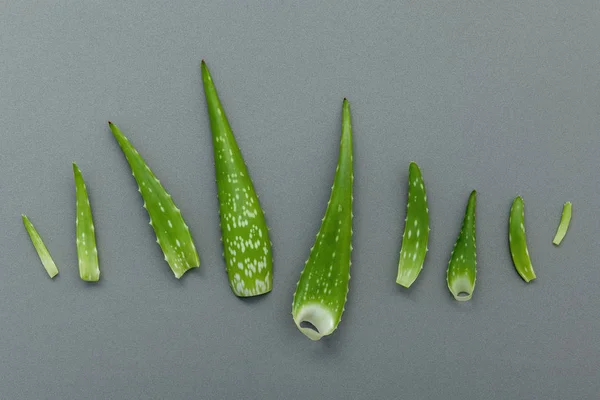 Aloe vera farklı boyutu gri arka plan üzerinde bırakır. Cilt Bakımı — Stok fotoğraf
