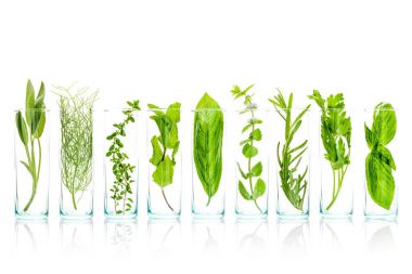 Uçucu yağlar taze otlar ile şişe kapatın. Adaçayı, gül