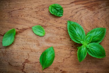 Taze fesleğen eski püskü teak ahşap arka plan üzerinde bırakır. Tatlı b
