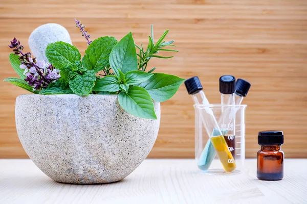 Alternative health care and herbal medicine .Fresh herbs and aro — Stock Photo, Image
