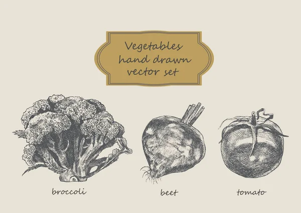 Gemüse handgezeichnet Vektor-Set. Brokkoli, Rüben, Tomaten. — Stockvektor