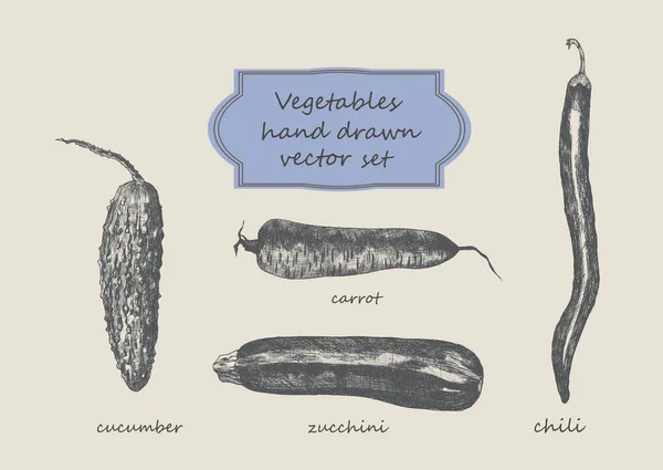 Gemüse handgezeichnet Vektor-Set. Möhren, Zucchini, Gurken. — Stockvektor