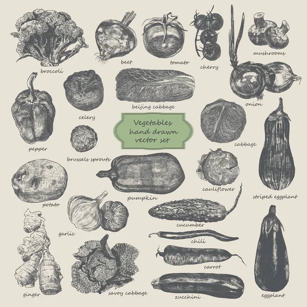 Conjunto de vetores desenhados à mão de vegetais . —  Vetores de Stock
