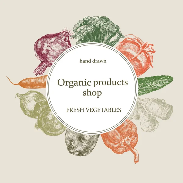 Logo de la tienda ecológica. Vector dibujado a mano. Conjunto de verduras frescas . — Vector de stock