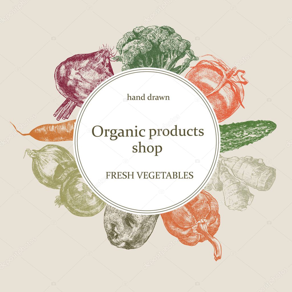 Organic shop logo. Hand drawn vector. Fresh vegetables set.