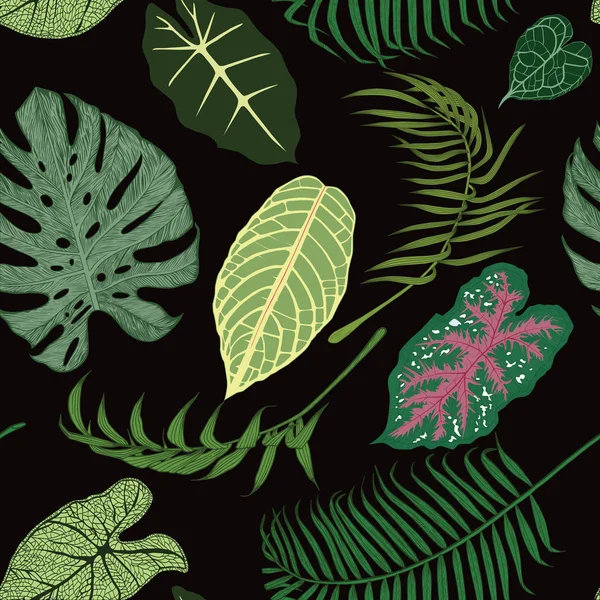 Modèle sans couture avec des feuilles exotiques sur fond noir . — Image vectorielle