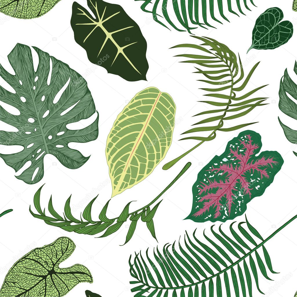 Seamless pattern with exotic leaves on white backround.