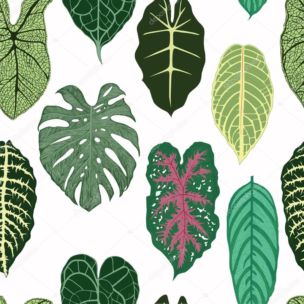 Seamless pattern with exotic leaves on white backround.
