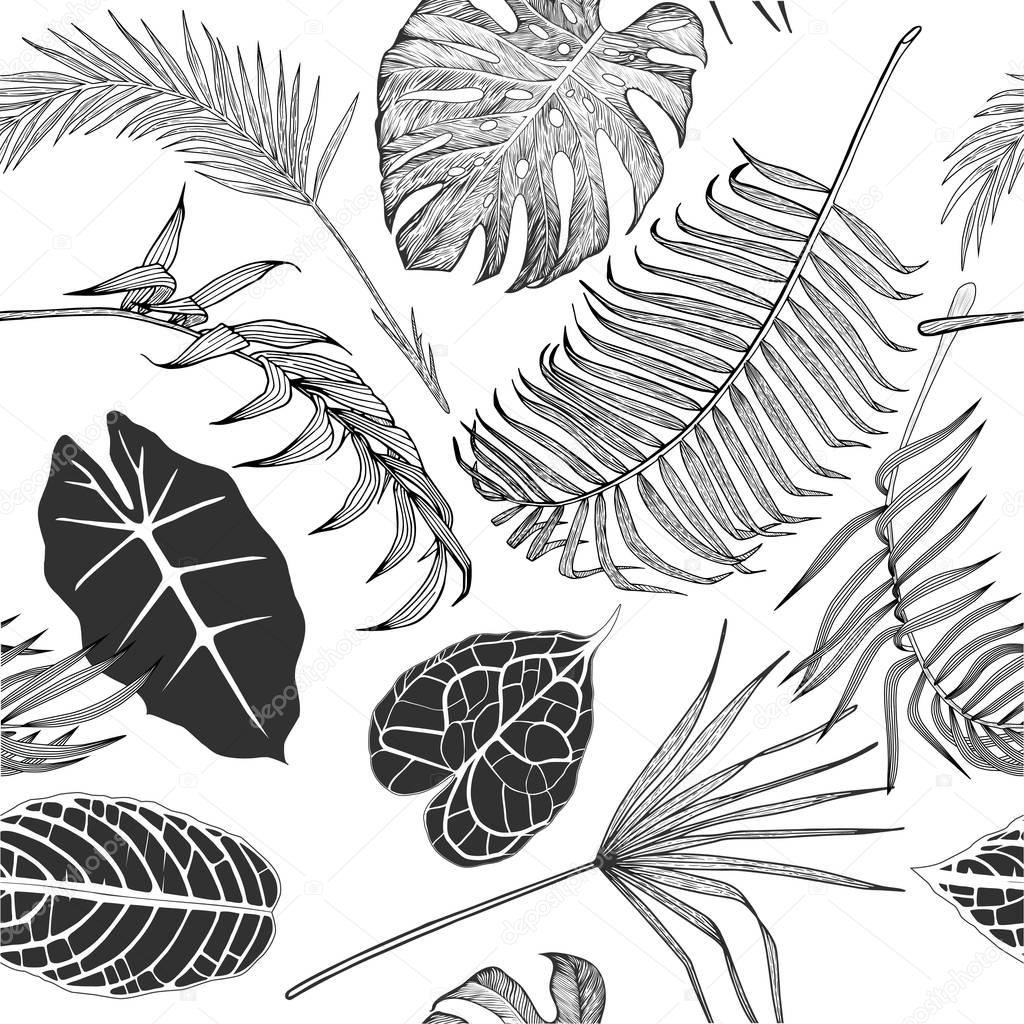 Seamless black and white pattern with exotic leaves.