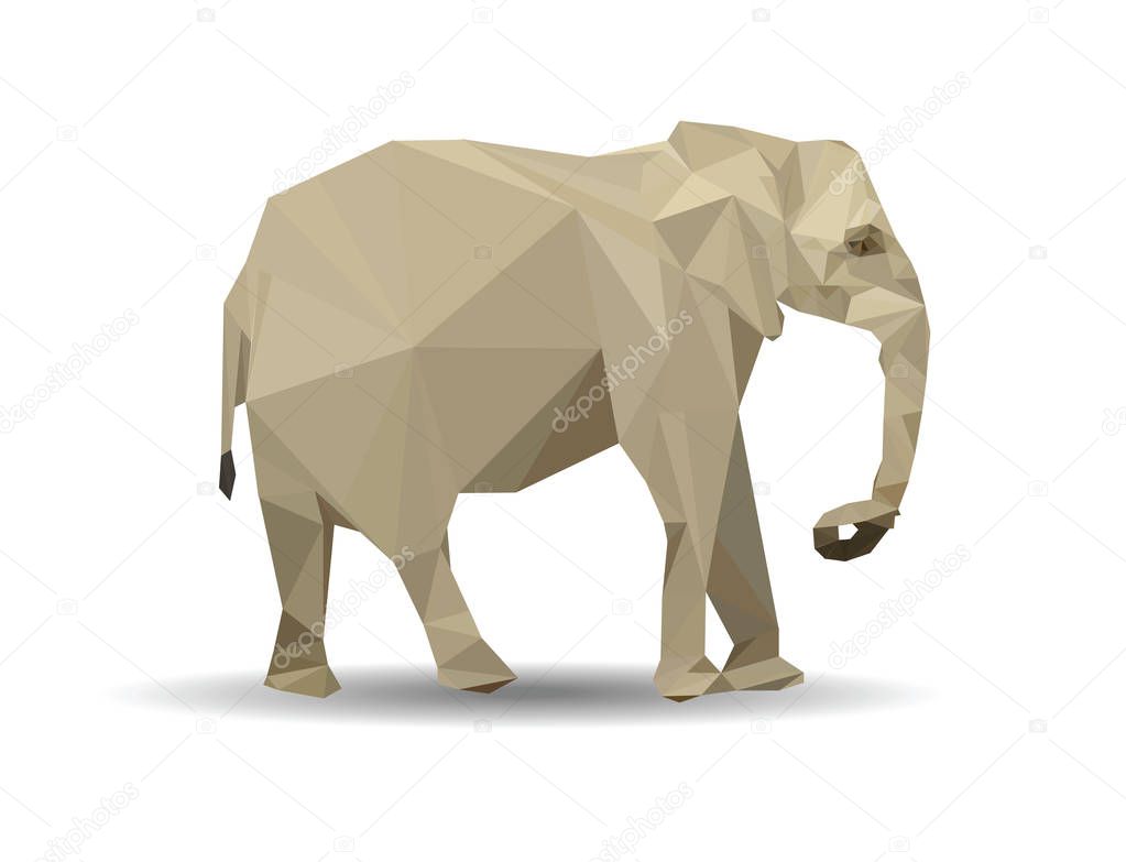 Elephant low poly illustration.