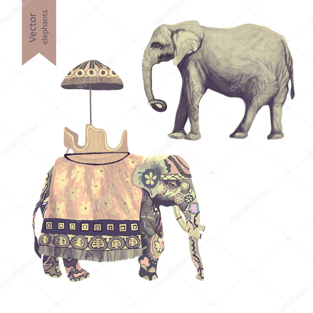 Indian elephants illustrations set. Isolated on white. Vector
