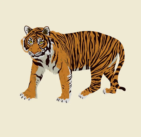 Sumatrian endangerd tiger watercolor illustration hand drawn — Stock Vector