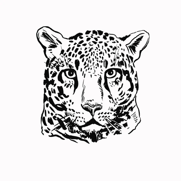 Impresión de cabeza de leopardo — Archivo Imágenes Vectoriales