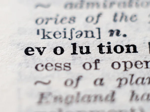 Ordbok Definition Ordet Evolution Selektiv Inriktning — Stockfoto