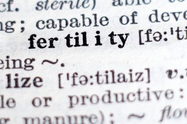 Kelime verimliliği sözlük tanımı, seçici odak.