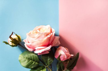 Yapay pembe gül arka plan.