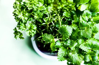 Sağlıklı yiyecekler, şifalı bitkiler.