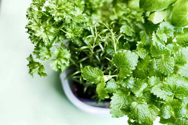 Sağlıklı yiyecekler, şifalı bitkiler.