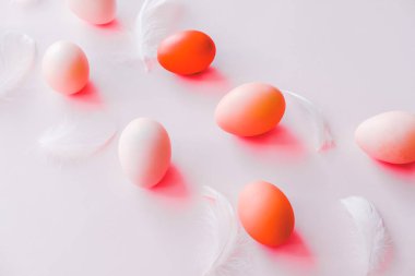 Pastel gri arka planda beyaz ve kırmızı yumurtalar ve tüyler. Paskalya konsepti.