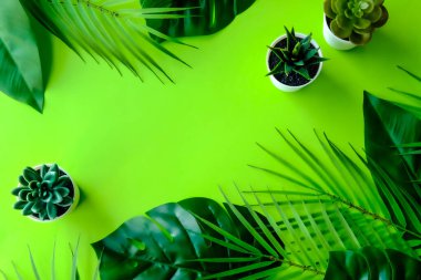 Yeşil arka planda tropik yaprakların karışımı. Metin için yer.