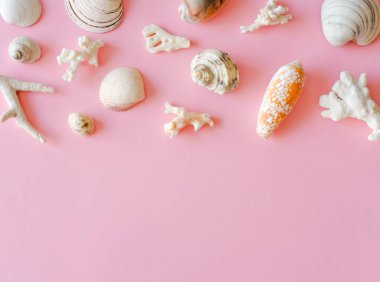 Pembe arka planda farklı beyaz deniz kabukları ve mercanlar.. 