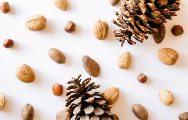 Fındık karışımı ve koniler.