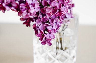 Işık arka planında kristal cam içinde güzel canlı leylak çiçekleri. 