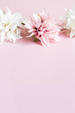 Pembe ve beyaz tekstil çiçekleri.