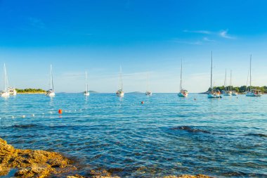 Hırvatistan, Hırvatistan Adriyatik 'teki Blue Bay plajında sabah yelkenli tekne ve yatlar, Murter Adası' ndaki Kosirina körfezi