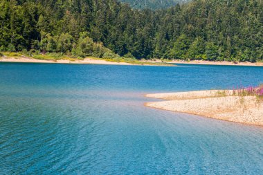 Gorski Kotar, Hırvatistan, Lokve göl kıyısındaki lagün ve her zaman yeşil olan ahşap manzaralar