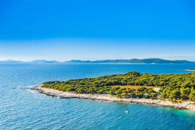 Hırvatistan 'ın Adriyatik Denizi' ndeki güzel deniz pelerini, Dugi Otok Adası, çamlık ormanlarındaki kamp yeri