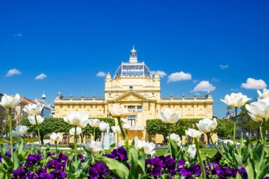 Zagreb, Croatia, in spring. Beautiful classic architecture, art pavilion in downtown park in sunny summer day and flowers in foreground clipart